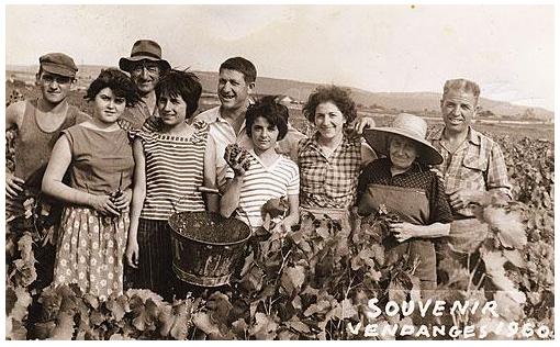 ancienne_vendanges2